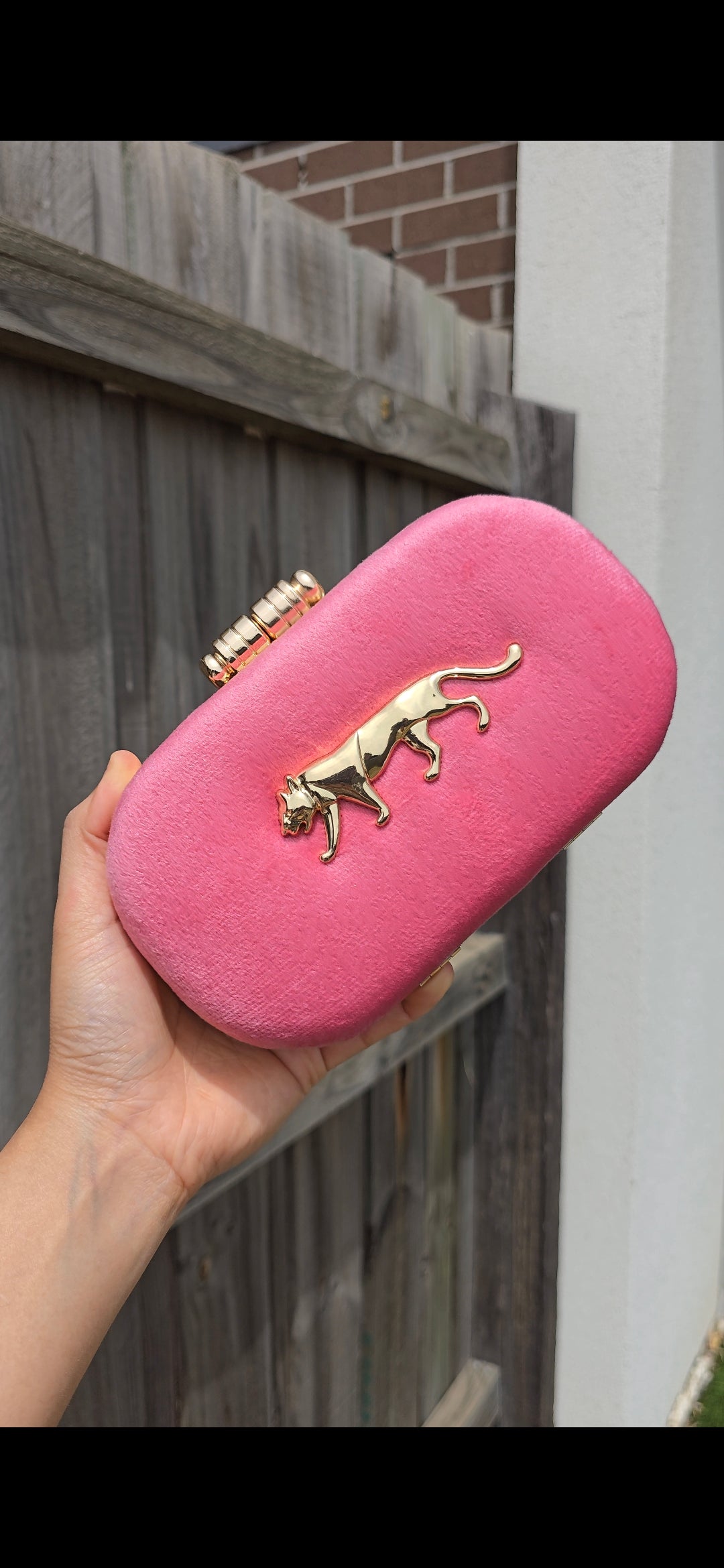 Pink Sabya Clutch