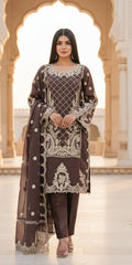 Designer - Tissue organza Pakistani Style suit